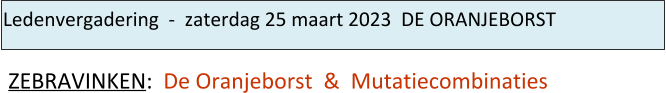 Ledenvergadering  -  zaterdag 25 maart 2023  DE ORANJEBORST   ZEBRAVINKEN:  De Oranjeborst  &  Mutatiecombinaties
