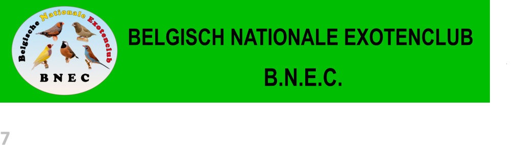7  BELGISCH NATIONALE EXOTENCLUB  B.N.E.C.